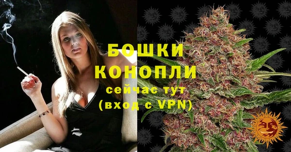 твердый Надым
