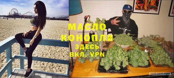 твердый Надым