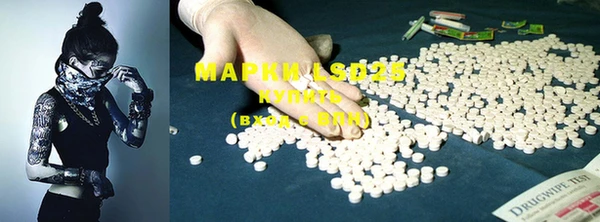 мяу мяу мука Михайлов