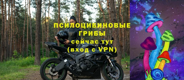твердый Надым